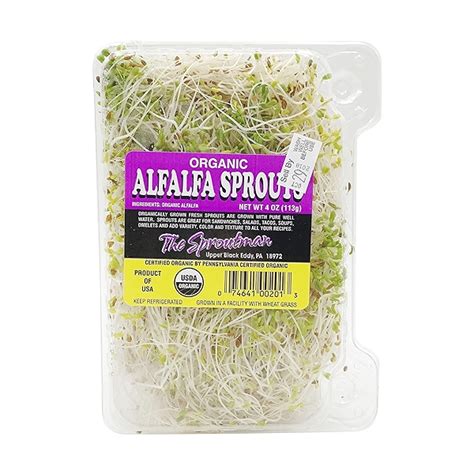 where to buy organic alfalfa sprouts